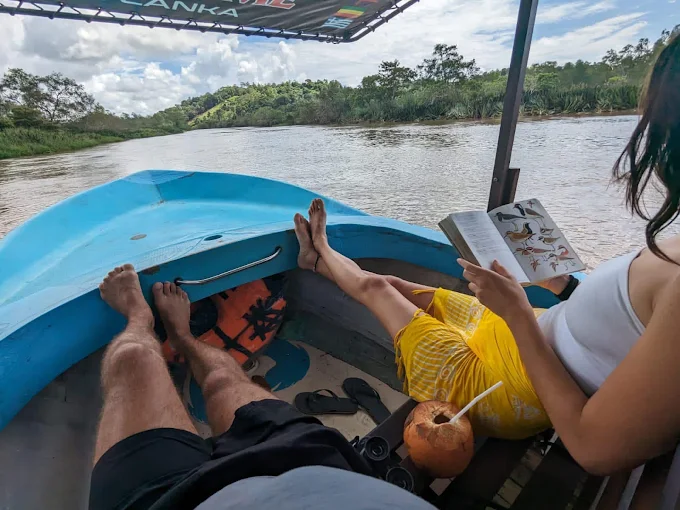 Guest reading a Sri Lanka bird guide book on the Nilwala safari boat